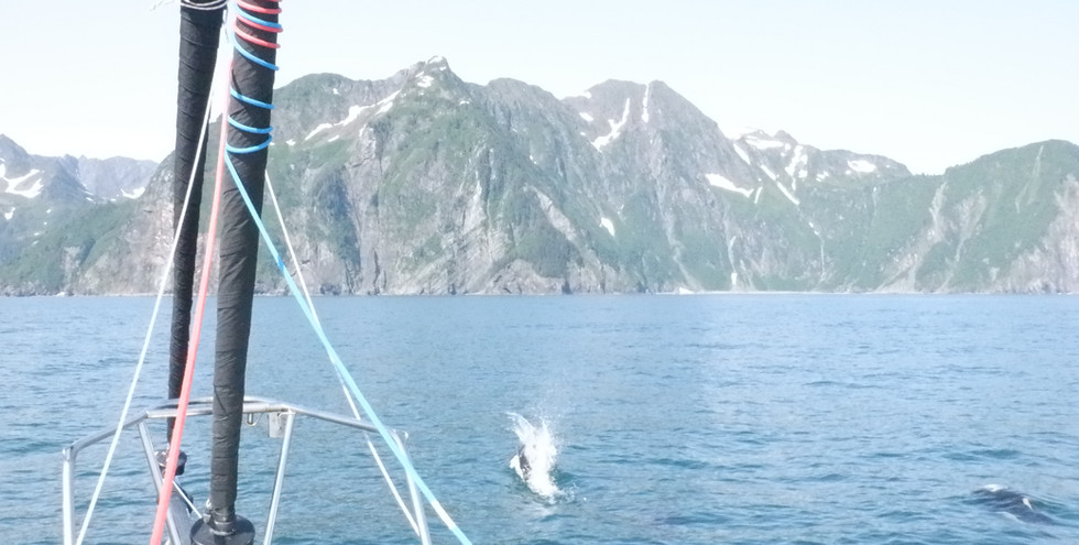 Glacier from the boat